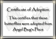 Adoption Certificate