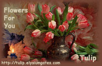 Tulip Bouquet