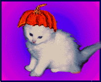 Animated Cat with Changing Hats
