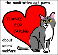 Thanks for Caring