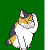 Animated Calico Cat Taking a Bath