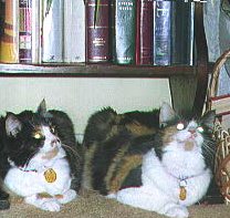 Another Picture of July and August under the Table