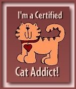 Cat Addict Award