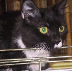 Esmerelda's adoption picture
