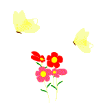 Yellow Butterflies and Red Flowers
