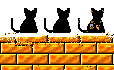 Three Cats Sittting on Brick Wall and Flicking Their Tails