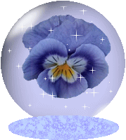Blue Pansy Globe