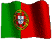 Portuguese Flag