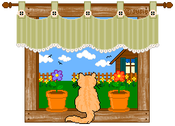 Cat Looking Out a Window Graphic