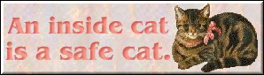 An Inside Cat is a Safe Cat