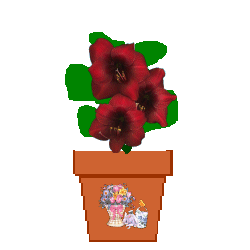 The Site Fights Spirit Flowers