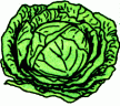 cabbage1.gif