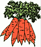 carrots.gif