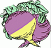 turnips.gif