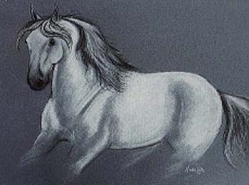 ahorse