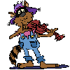 [racoon fiddler]