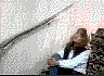 l1.jpg