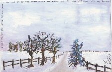 Amy's stillness road art
