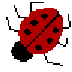 BUG MUSIC