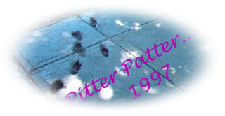 WETFEET2.jpg (32411 bytes)