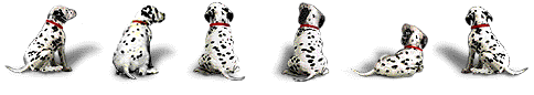 dalma3.gif (9981 bytes)