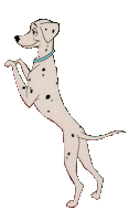 dalmst.gif (4974 bytes)