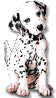 dogbldranima.gif (3254 bytes)