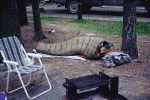 n26.GIF (198650 bytes)