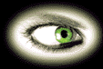 eyeleft.gif (19991 bytes)