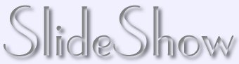 slideshow.jpg (5802 bytes)