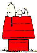 thumbnail of your picture #7
