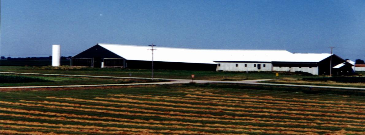 Looking from the Baby Factory/Dry Cow Barn towards Dairyfield Farm