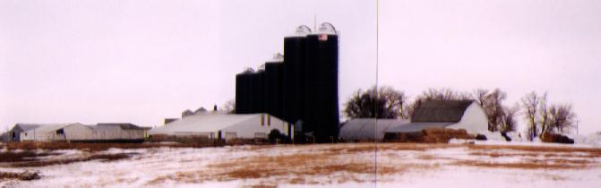 A view of the old dairy, where all the replacements heifers and dry cows are raised.  This is looking from the south-east.