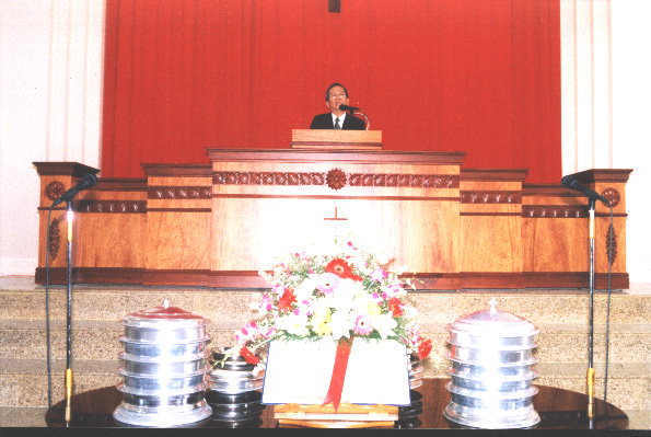 MS chu toa