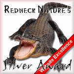 I am Proud Winner of the RNWEA for
Website Excellence.  Click here to find out how you can try for your own
award.
