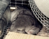 Zzzzzz...