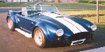 66cobra_thum.jpg (6891 bytes)