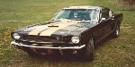 66shelby_thum.jpg (6265 bytes)