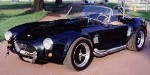 cobra1_thum.jpg (6408 bytes)