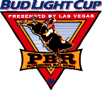 PBR_Seriz_logo.gif (4544 bytes)