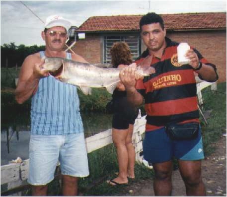 peixe1.jpg (64570 bytes)