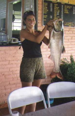 peixe2.jpg (49254 bytes)