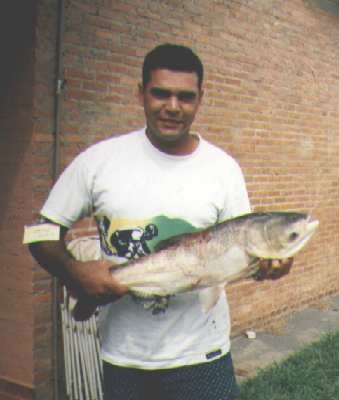 peixe4.jpg (41589 bytes)