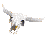 Skulls.gif (3224 bytes)
