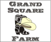 gsquare.jpg (12270 bytes)