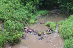 rockcreek1.jpg (20483 bytes)