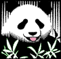 Panda Bears