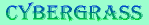Cybergrass