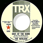 The Newlook - East of the dawn [In the year of our love]