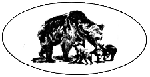 Bear Family Records